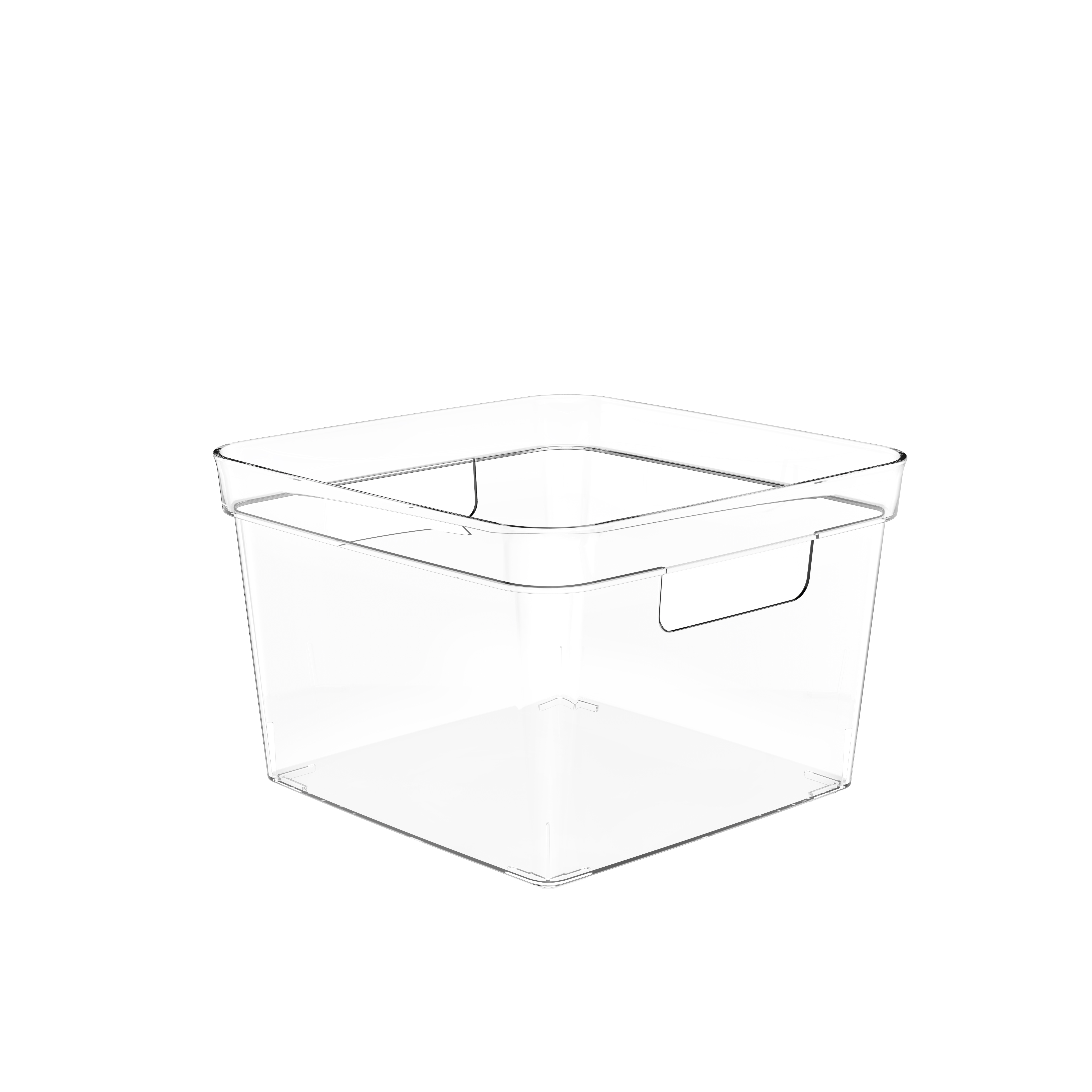Klein formaat Clear Storage Bin
